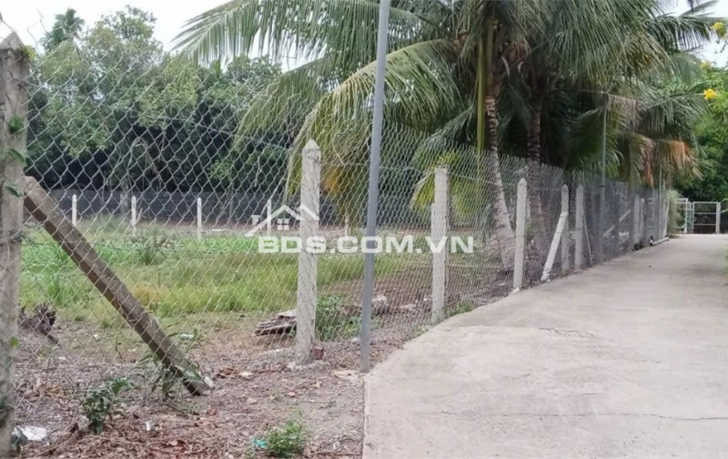 Bán Lô Đất Đẹp Mặt Tiền Đường An Sơn 32 – Gần Quanh Đai 3 – Chỉ 9,2 Triệu/M²
